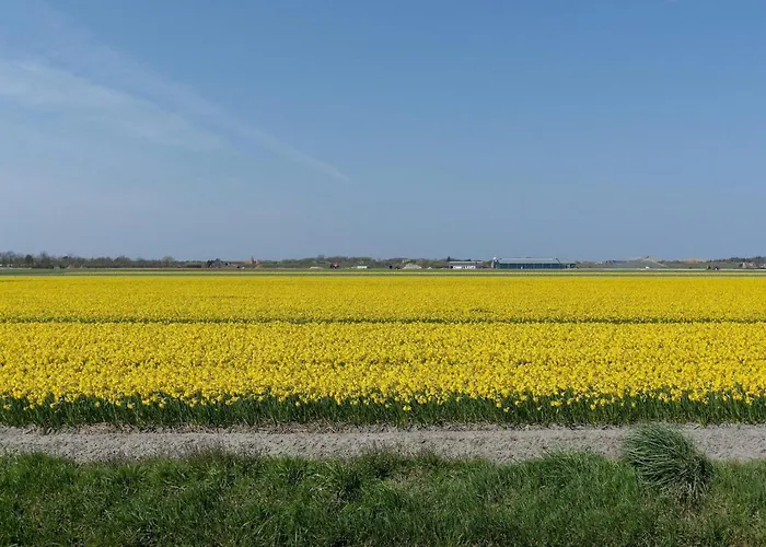 Villa By In Ooghduyne